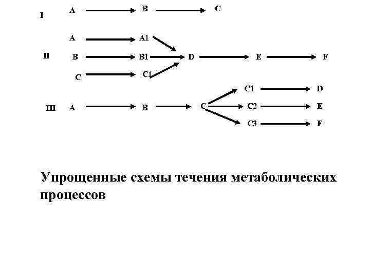 А II В А I А 1 В С В 1 С D E