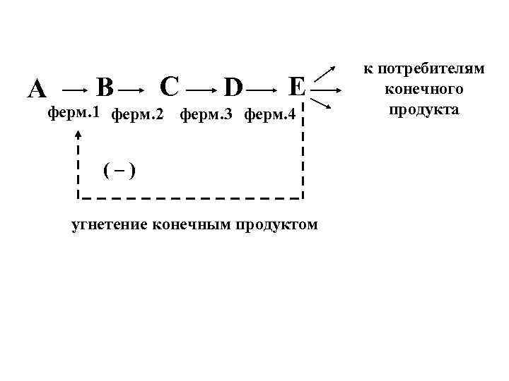 A B C D E ферм. 1 ферм. 2 ферм. 3 ферм. 4 (