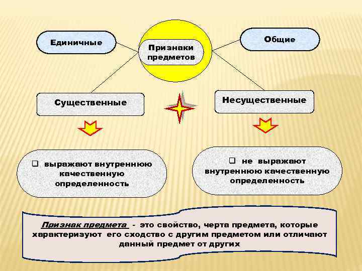 Общие существенные. Существенные и несущественные признаки предметов примеры. Существенные и несущественные признаки понятия примеры. Существенные признаки объекта примеры. Общие и существенные признаки предмета это.