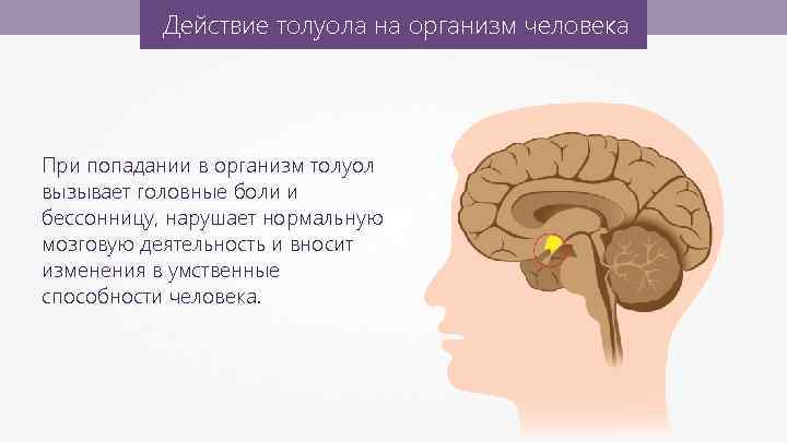 Действие толуола на организм человека При попадании в организм толуол вызывает головные боли и