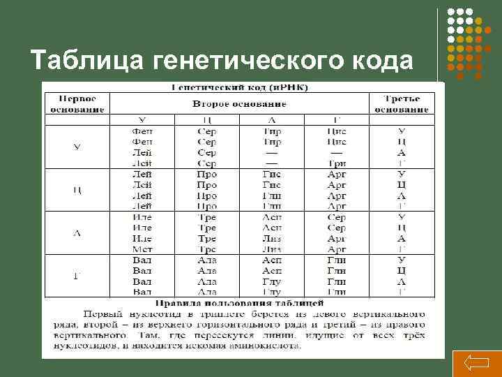 Таблица генетического кода 