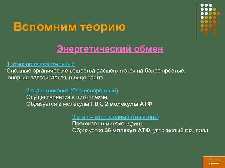 Вспомним теорию Энергетический обмен 1 этап: подготовительный Сложные органические вещества расщепляются на более простые,