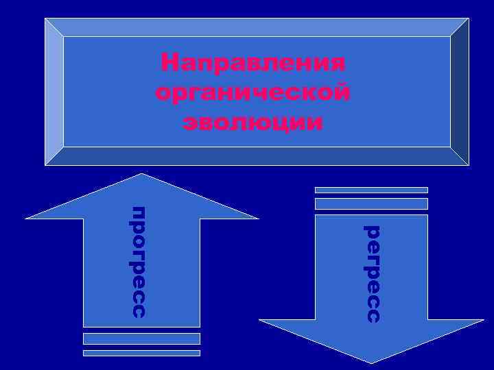 Направления органической эволюции регресс прогресс 