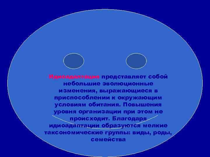 Идиоадаптация представляет собой небольшие эволюционные изменения, выражающиеся в приспособлении к окружающим условиям обитания. Повышения