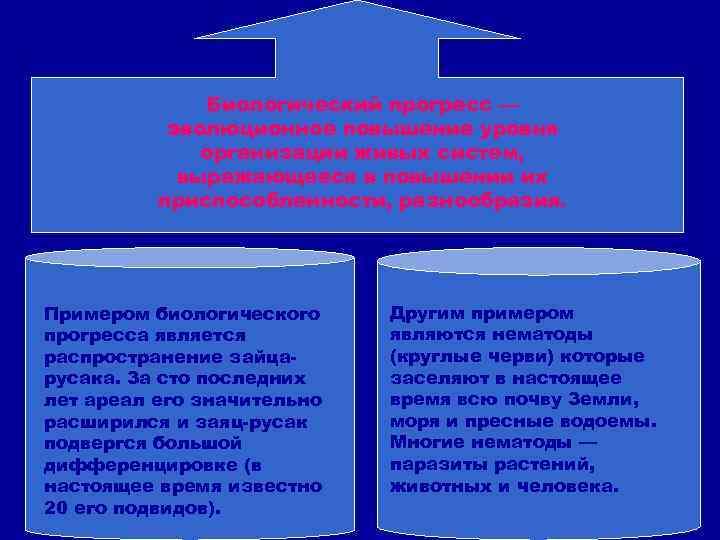 Биологический прогресс — эволюционное повышение уровня организации живых систем, выражающееся в повышении их приспособленности,