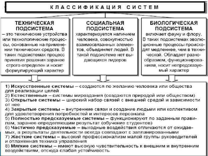 Цой Р. А. - РГЭУ (РИНХ), 2013 13 