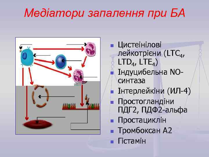 Медіатори запалення при БА n n n n Цистеінілові лейкотрієни (LTC 4, LTD 4,