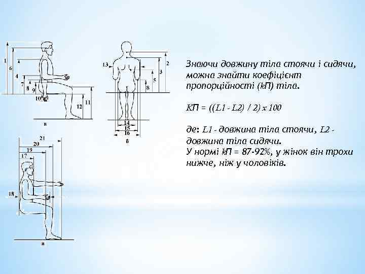 Знаючи довжину тіла стоячи і сидячи, можна знайти коефіцієнт пропорційності (k. П) тіла. KП