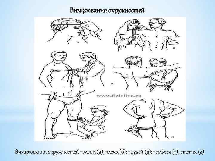 Вимірювання окружностей голови (а); плеча (б); грудей (в); гомілки (г), стегна (д) 