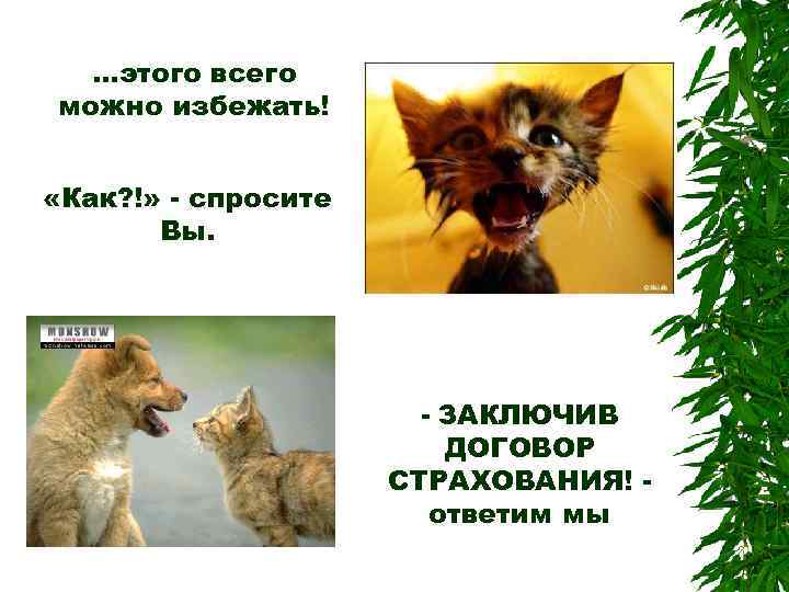 …этого всего можно избежать! «Как? !» - спросите Вы. - ЗАКЛЮЧИВ ДОГОВОР СТРАХОВАНИЯ! ответим
