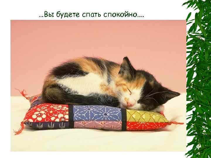 …Вы будете спать спокойно…. 