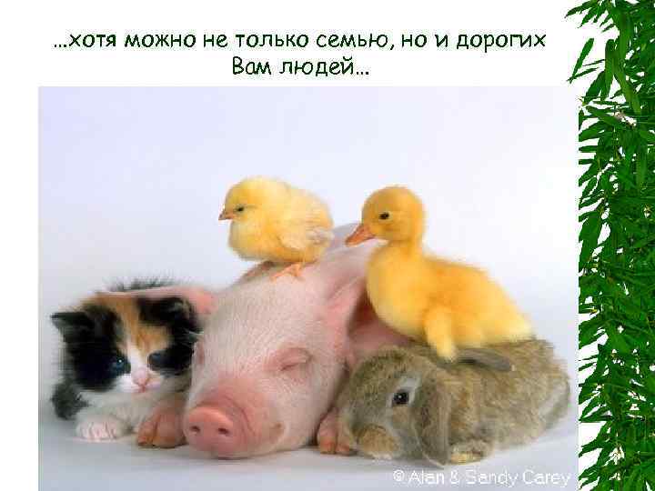…хотя можно не только семью, но и дорогих Вам людей… 