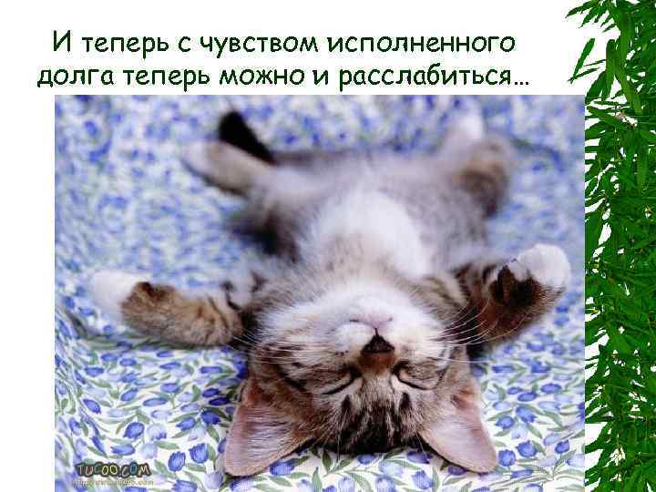 И теперь с чувством исполненного долга теперь можно и расслабиться… 