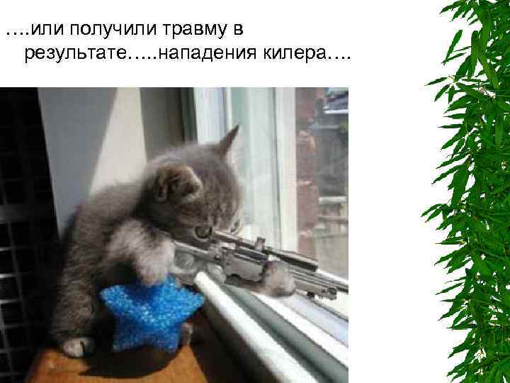 …. или получили травму в результате…. . нападения килера…. 