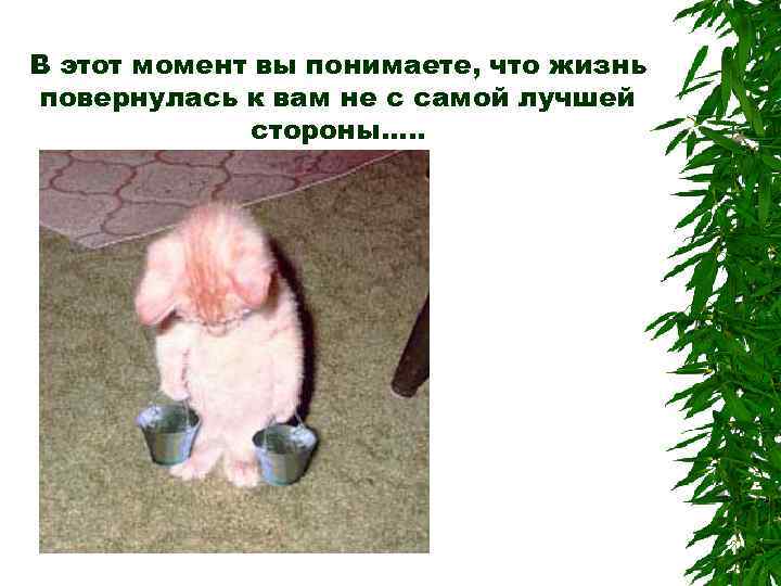 В этот момент вы понимаете, что жизнь повернулась к вам не с самой лучшей