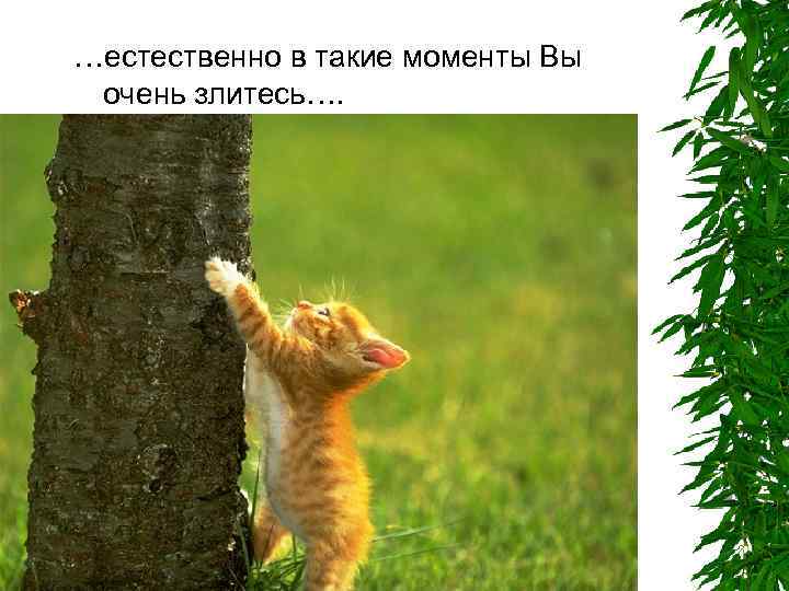 …естественно в такие моменты Вы очень злитесь…. 