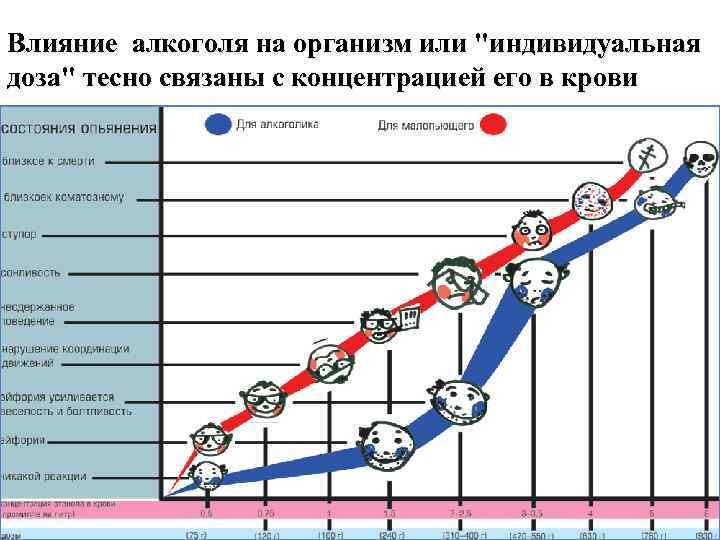 Влияние алкоголя на организм или 