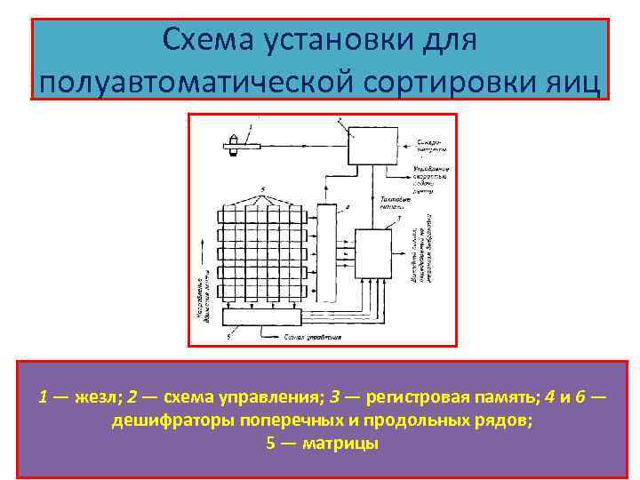 Схема установки для полуавтоматической сортировки яиц 1 — жезл; 2 — схема управления; 3