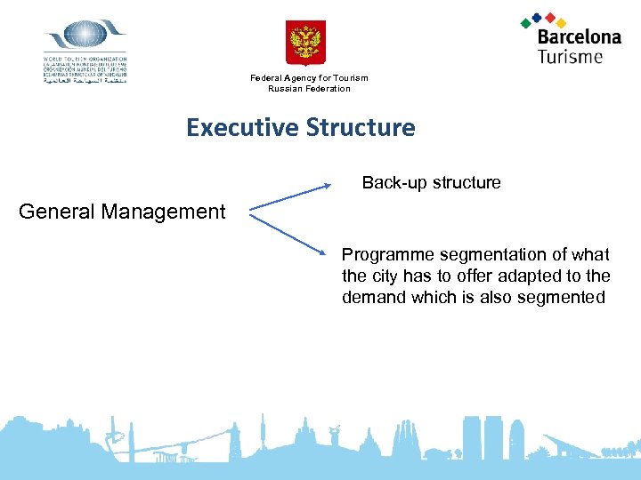 Federal Agency for Tourism Russian Federation Executive Structure Back-up structure General Management Programme segmentation