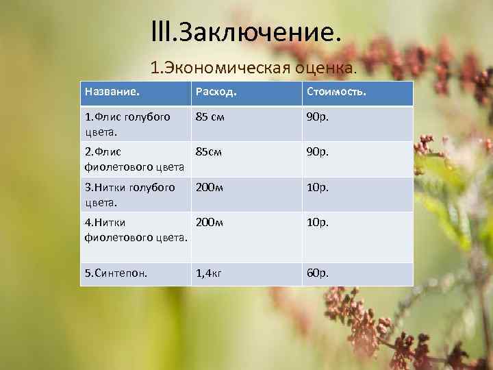 lll. Заключение. 1. Экономическая оценка. Название. Расход. Стоимость. 1. Флис голубого цвета. 85 см