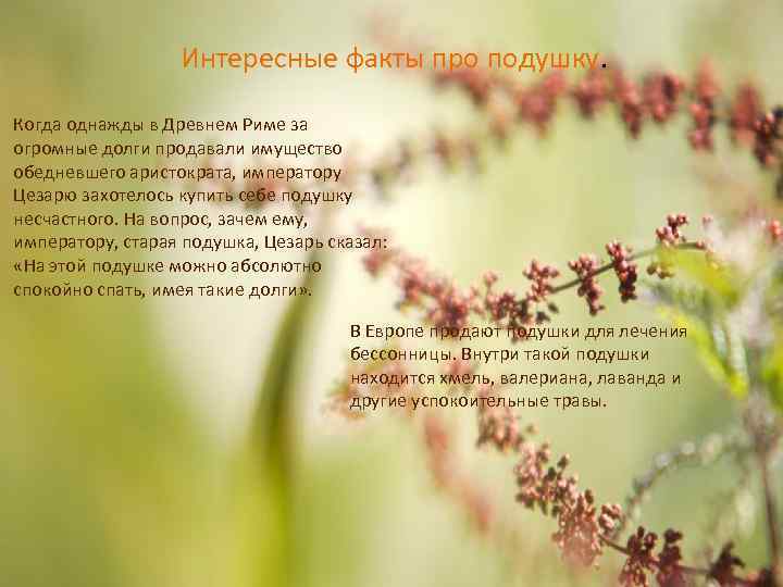 Интересные факты про подушку. Когда однажды в Древнем Риме за огромные долги продавали имущество