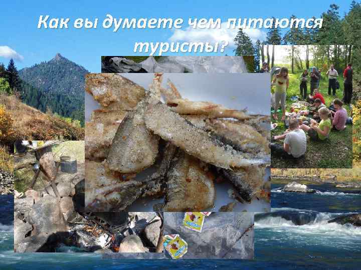 Как вы думаете чем питаются туристы? 