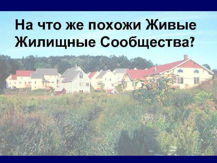 На что же похожи Живые Жилищные Сообщества? 