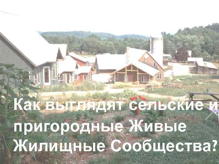 Как выглядят сельские и пригородные Живые Жилищные Сообщества? 