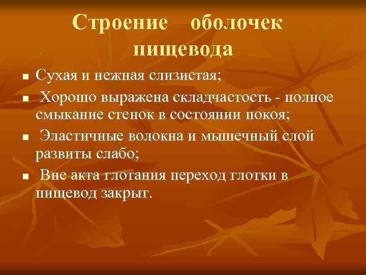Строение оболочек пищевода n n Сухая и нежная слизистая; Хорошо выражена складчастость - полное