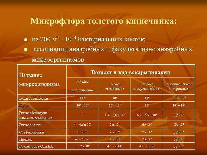 Микрофлора толстого кишечника: n n на 200 м 2 - 1014 бактериальных клеток; ассоциации