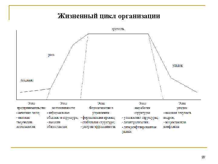 Жизненный цикл организации 20 