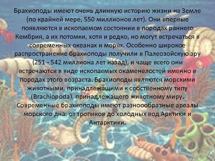 Брахиоподы имеют очень длинную историю жизни на Земле (по крайней мере, 550 миллионов лет).