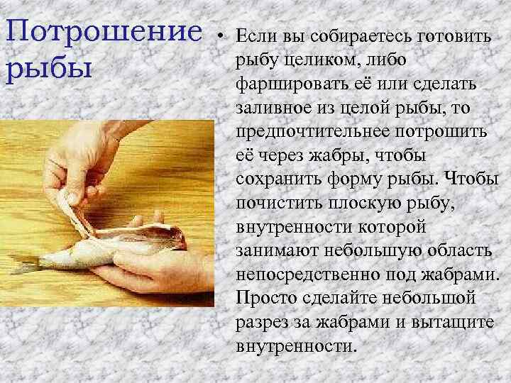Потрошение рыбы • Если вы собираетесь готовить рыбу целиком, либо фаршировать её или сделать