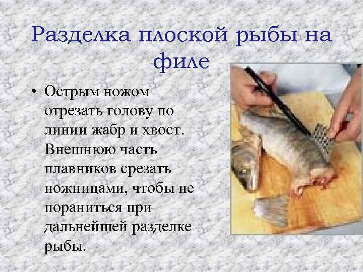 Разделка плоской рыбы на филе • Острым ножом отрезать голову по линии жабр и