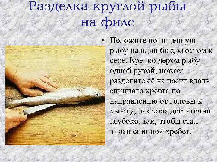 Разделка круглой рыбы на филе • Положите почищенную рыбу на один бок, хвостом к