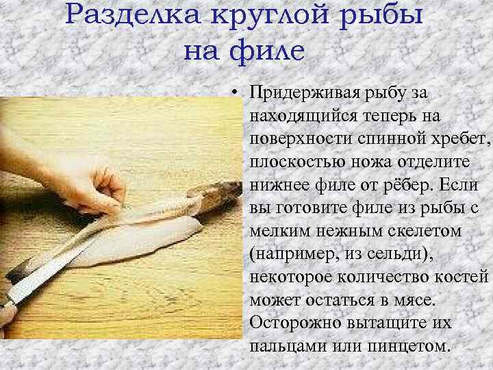 Разделка круглой рыбы на филе • Придерживая рыбу за находящийся теперь на поверхности спинной