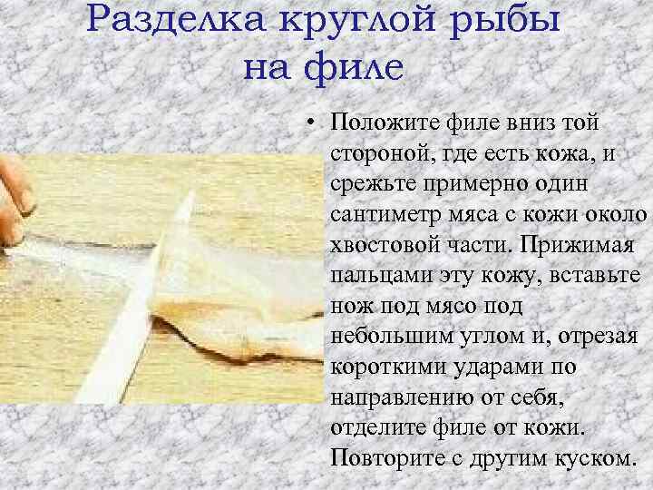 Разделка круглой рыбы на филе • Положите филе вниз той стороной, где есть кожа,