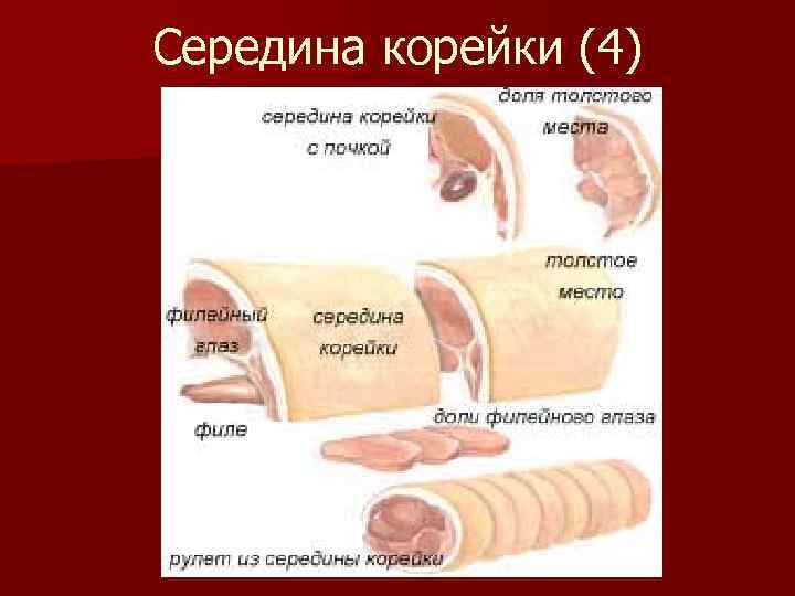 Середина корейки (4) 