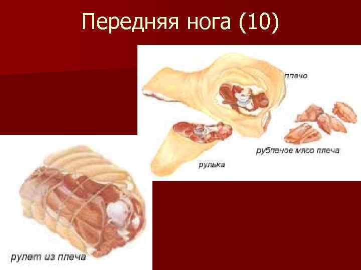 Передняя нога (10) 