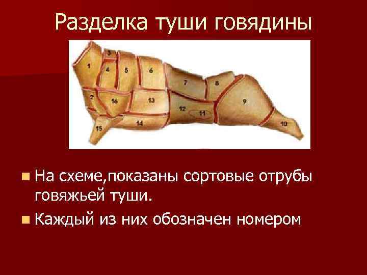 Схема разделки говяжьей туши