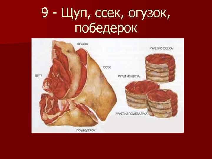 9 - Щуп, ссек, огузок, победерок 