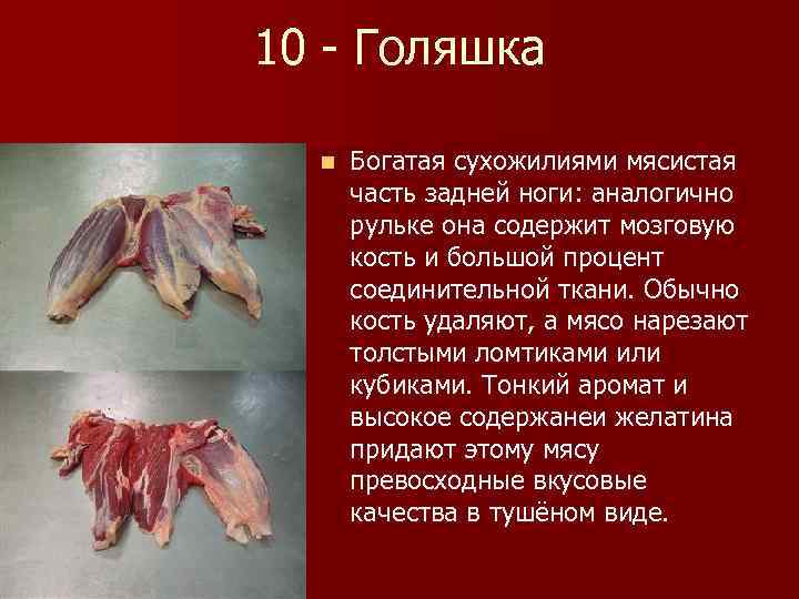 10 - Голяшка n Богатая сухожилиями мясистая часть задней ноги: аналогично рульке она содержит