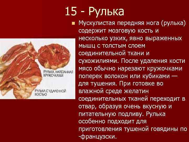 15 - Рулька n Мускулистая передняя нога (рулька) содержит мозговую кость и несколько узких,