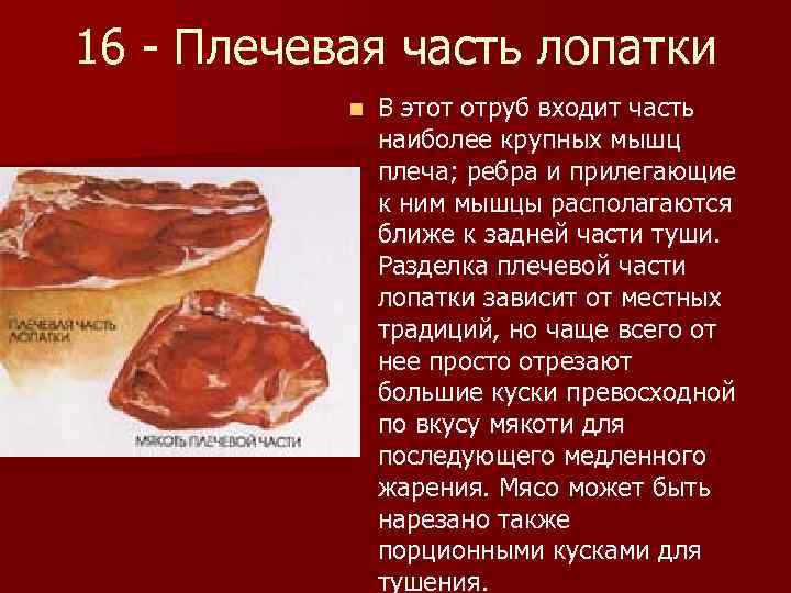 16 - Плечевая часть лопатки n В этот отруб входит часть наиболее крупных мышц