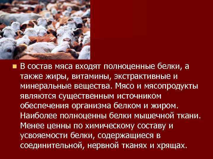 n В состав мяса входят полноценные белки, а также жиры, витамины, экстрактивные и минеральные