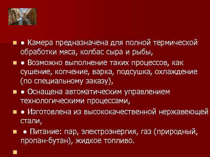 n n n ● Камера предназначена для полной термической обработки мяса, колбас сыра и