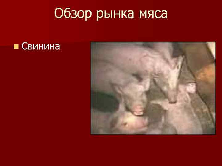 Обзор рынка мяса n Свинина 