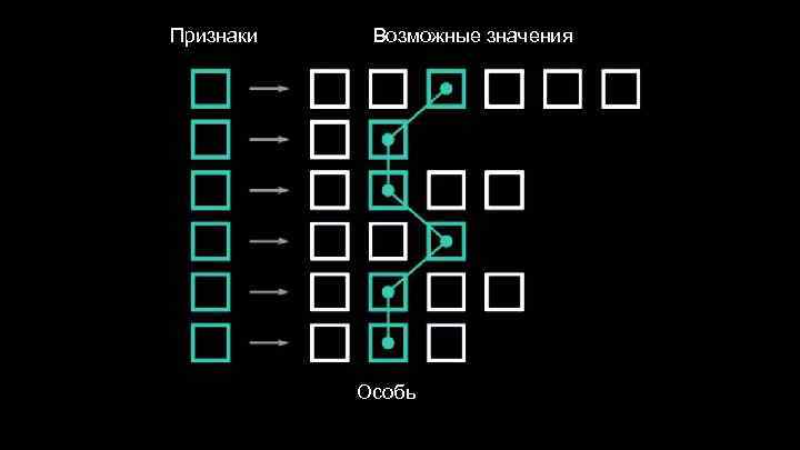 Признаки Возможные значения Особь 
