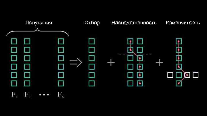 Популяция Отбор Наследственность Изменчивость 