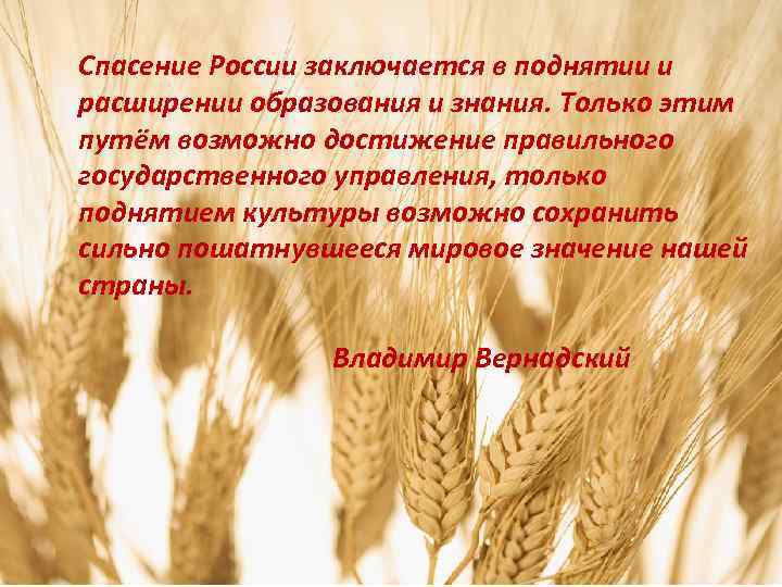 Шахматная начальная школа в России Спасение России заключается в поднятии и расширении образования и